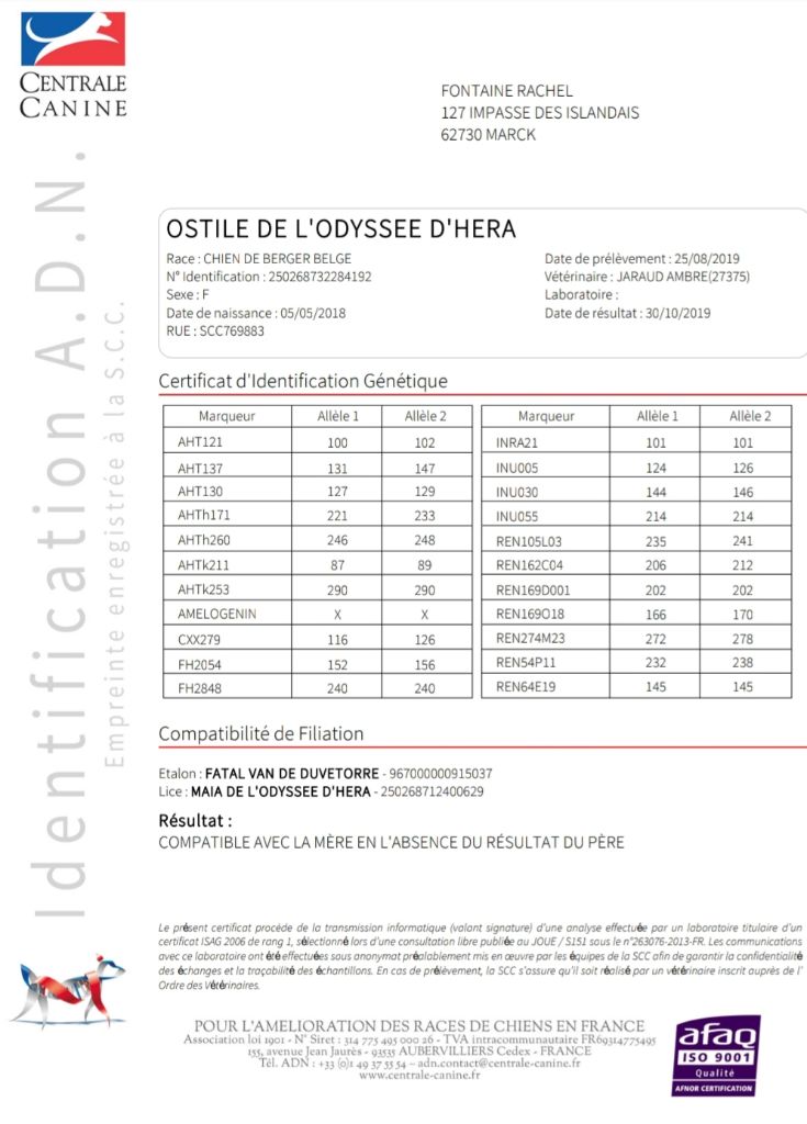 Ostile De L'Odyssée D'Hèra