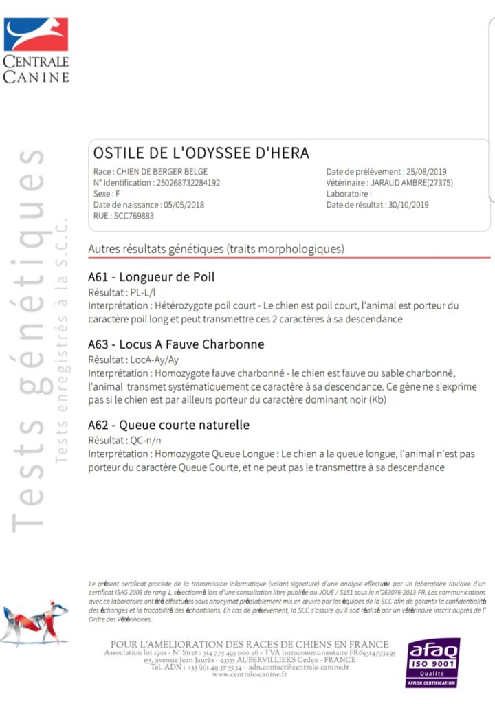 Ostile De L'Odyssée D'Hèra