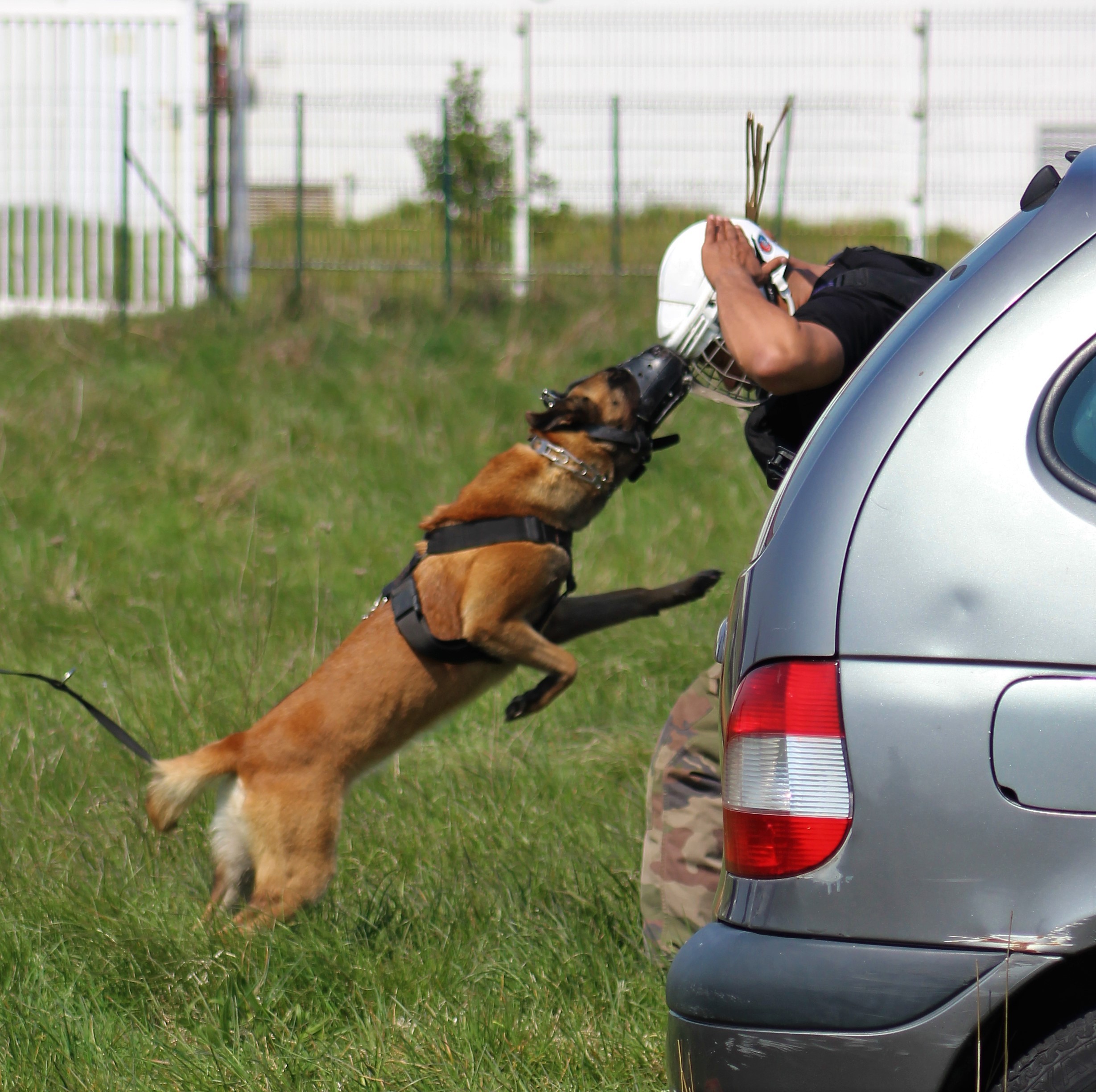 Mafia De L'Odyssée D'Hèra