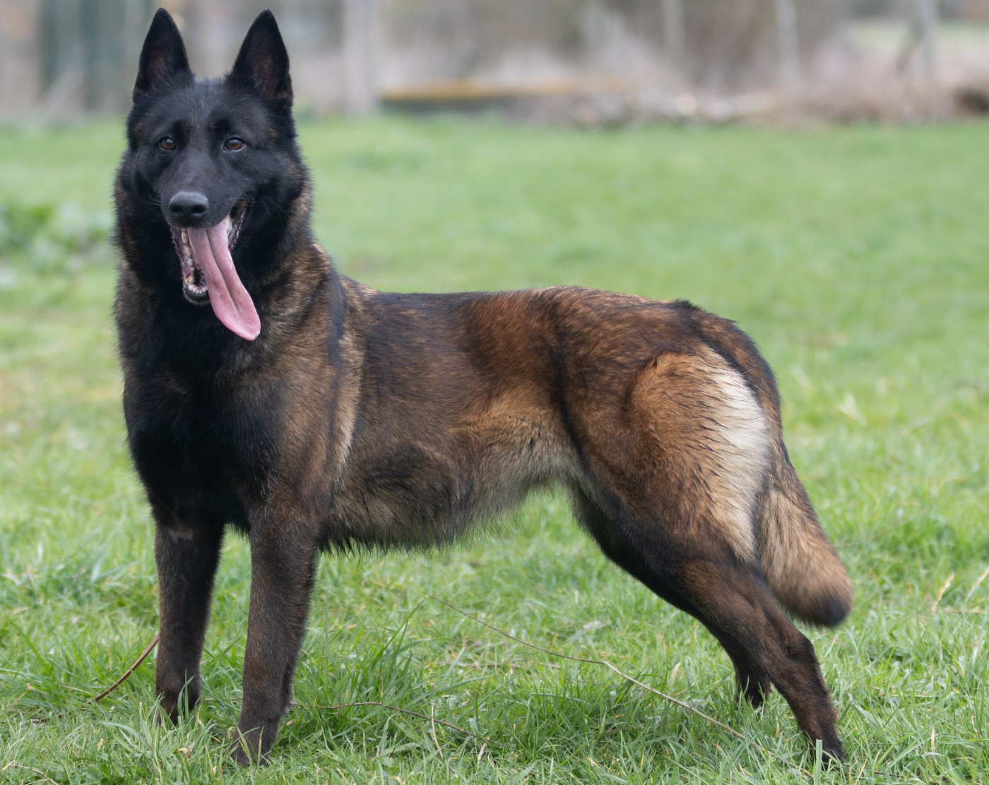 Skyfall De L'Odyssée D'Hèra