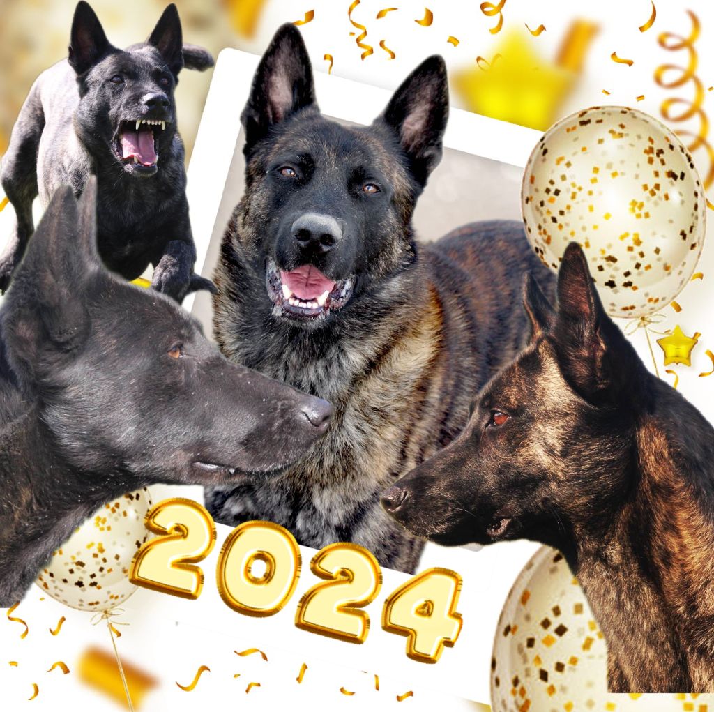 Bonne Année 2024